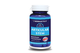 Articular Stem 120 capsule, Herbagetica