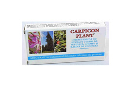 Carpicon Plant Supozitoare cu extract de pufulita, ghimpe si rasina de conifere 10 bucati, Elzin Plant