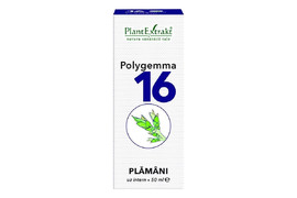 Polygemma Nr 16 pentru plamani, 50ml, Plantextract