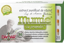 Mumie Extract purificat de rasina Cu Propolis ,60 capsule, Danmar