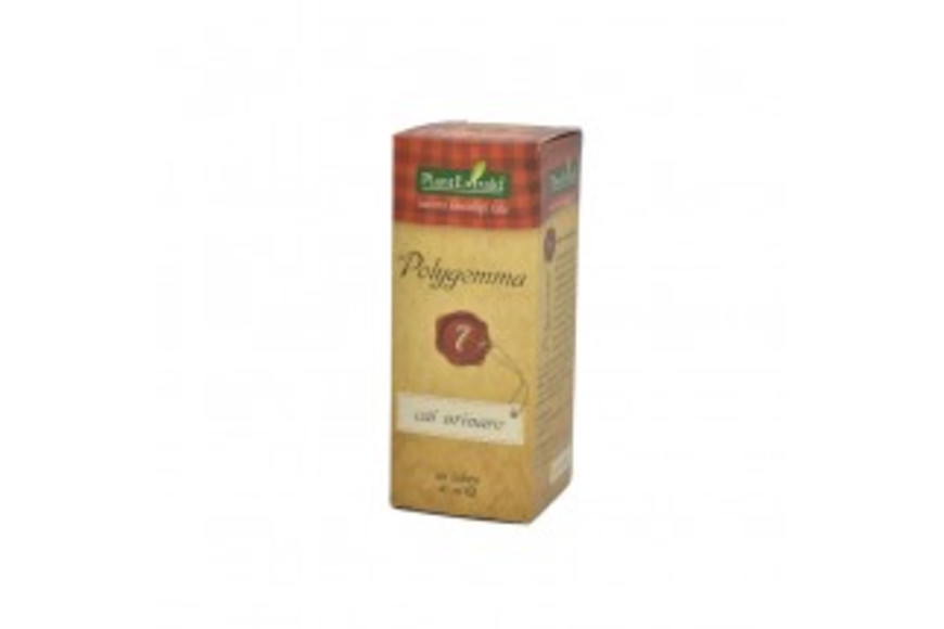 Polygemma Nr 7, Cai urinare x50ml Plantextrakt