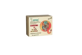 Coenzima Q10 in Ulei de Catina 15 mg, 40 capsule, Hofigal 