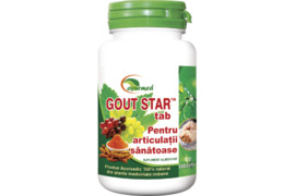 Gout Star 50 tablete, Ayurmed