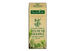 Extract din mladite de Vita de Vie Salbatica, 50 ml, Plant Extrakt