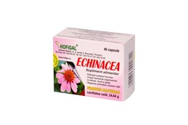 Echinaceea, 40 capsule, Hofigal