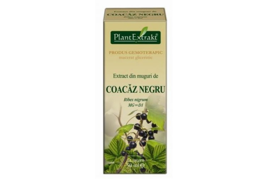 Extract din muguri de Coacaz Negru, 50 ml, Plant Extrakt