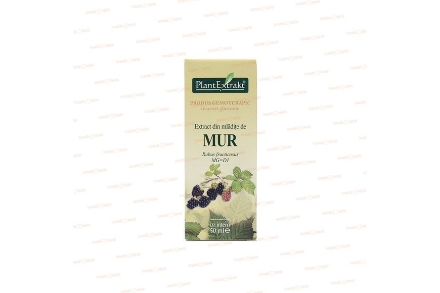 Extract Mur, 50ml, Plantextract