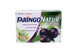 Faringo Natur coacaze, 12 comprimate, Terapia 