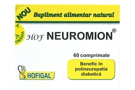 Neuromion 