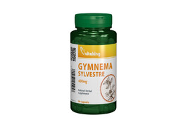 Gymnema Sylvestre 400 mg, 90 capsule, VitaKing
