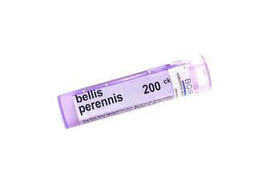 Boiron Bellis Perennis Ch 200