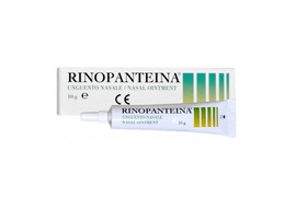 Rinopanteina Ung 10g