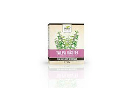 Ceai Talpa Gastii 50g Vrac, Dorel Plant