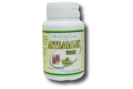 Astragalus 150mg, 50 capsule, Vitalia Pharma