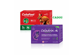 Celadrin Extract Forte 500 mg, 60 capsule oferta Colafast Colagen Rapid, 30 capsule, Good Days Therapy