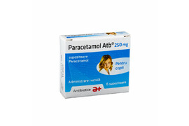 Paracetamol pentru copii 250mg, 6 supozitoare, Antibiotice SA