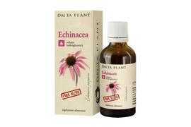 Tinctura Echinacea fara alcool 50ml, Dacia Plant