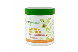 Artro Gel Forte, 500ml, Biomedicus