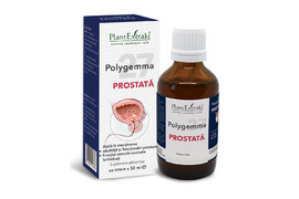 Polygemma 27 Prostata, 50 ml, Plant Extrakt