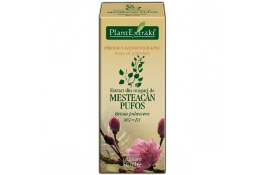 Extract Mesteacan Pufos 50ml