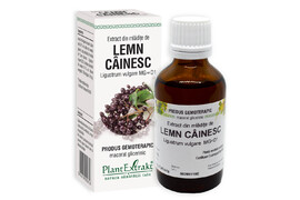 Extract din mladite de Lemn Cainesc, 50 ml, Plant Extrakt