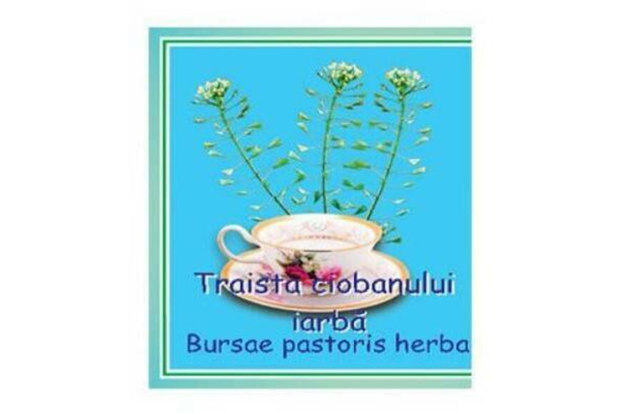 Ceai Traista Ciobanului Vrac 50g, Cyani