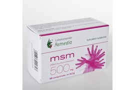 Msm 500mg X60cp Remedia