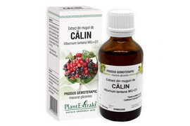 Extract din muguri de Calin, 50 ml, Plant Extrakt