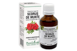 Extract din muguri de Scorus, 50 ml, Plant Extrakt