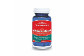 Gheara-Matei Extract Standardizat 60 cpsule, Herbagetica