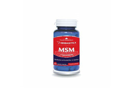 MSM + Cucumin95, 60 capsule, Herbagetica