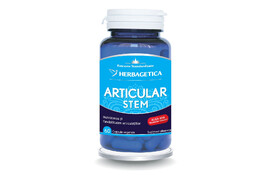Articular Stem, 60 capsule, Herbagetica