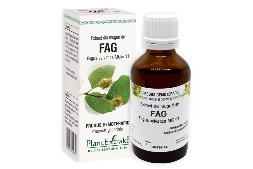Extract din Fag, 50 ml, Plant Extrakt