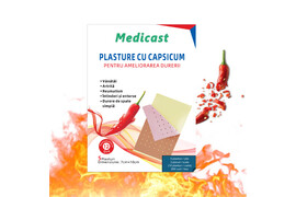 Plasture Cu Capsicum Pentru Ameliorarea Durerii, 10 bucati, Zhengzhou