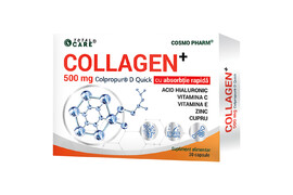 Collagen+ Fortigel B, 500 mg, 30 capsule, Cosmo Pharm