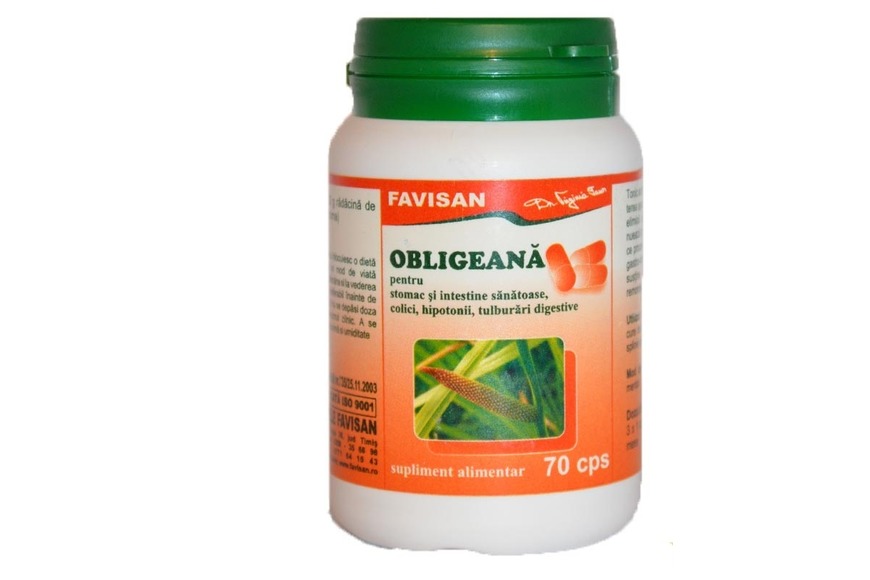 Obligeana, 70 capsule, Favisan 